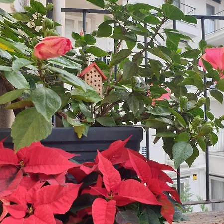 River View - Lapa District - Your In Lisbon! Lisboa