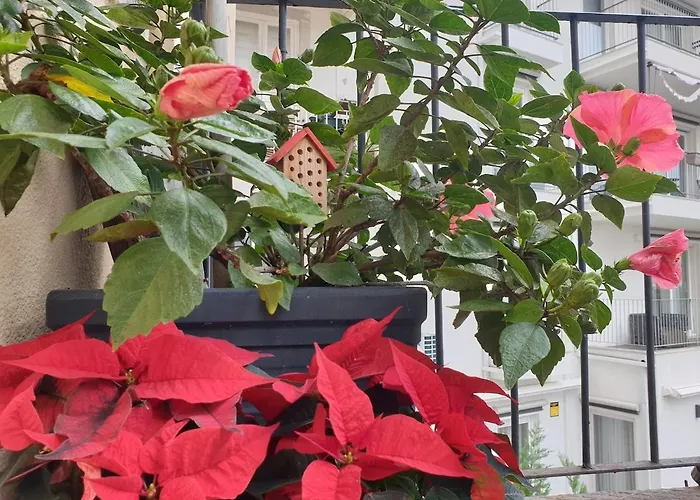 River View - Lapa District - Your In Lisbon! Lisbon